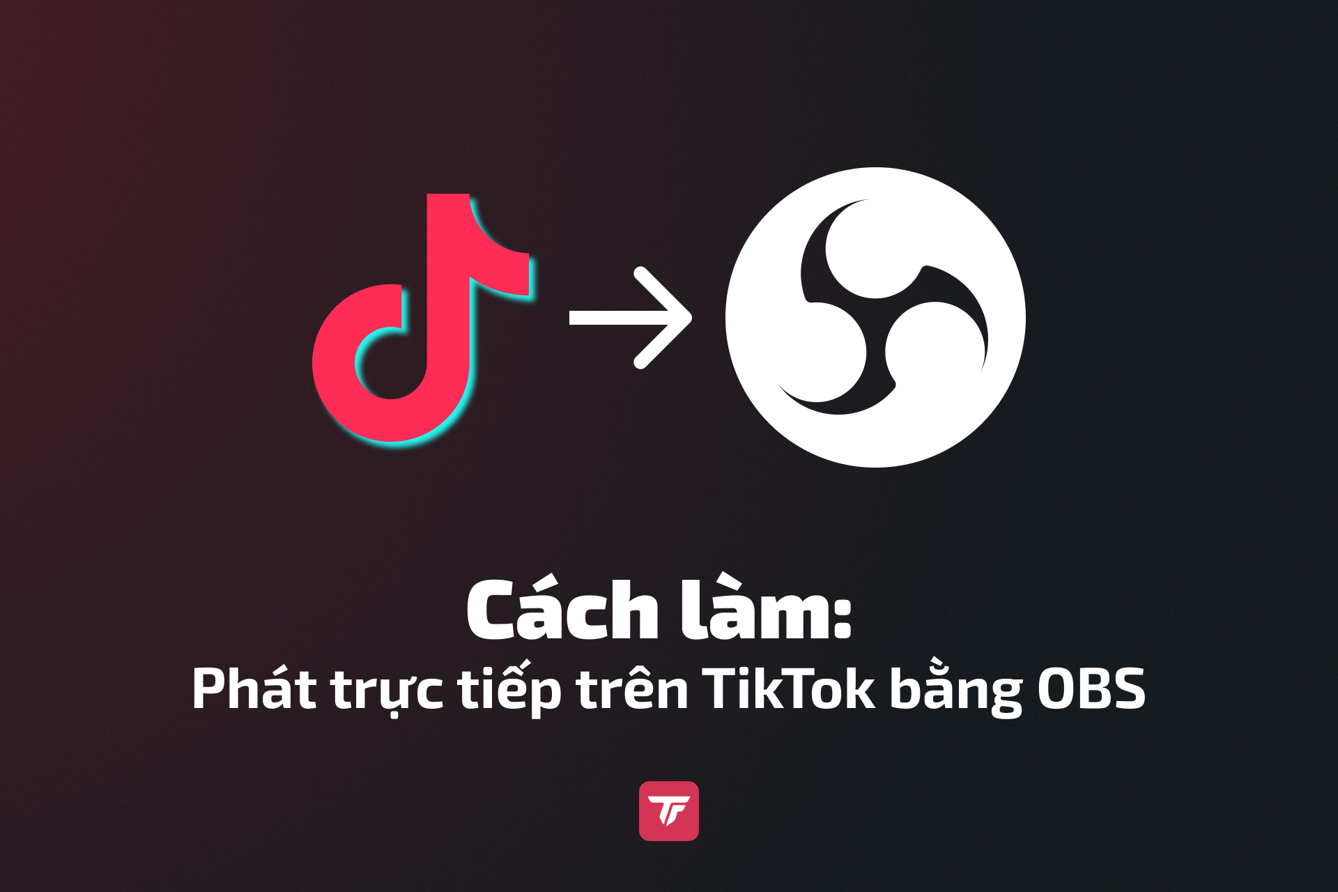 Ảnh bìa hướng dẫn: TikTok sang OBS