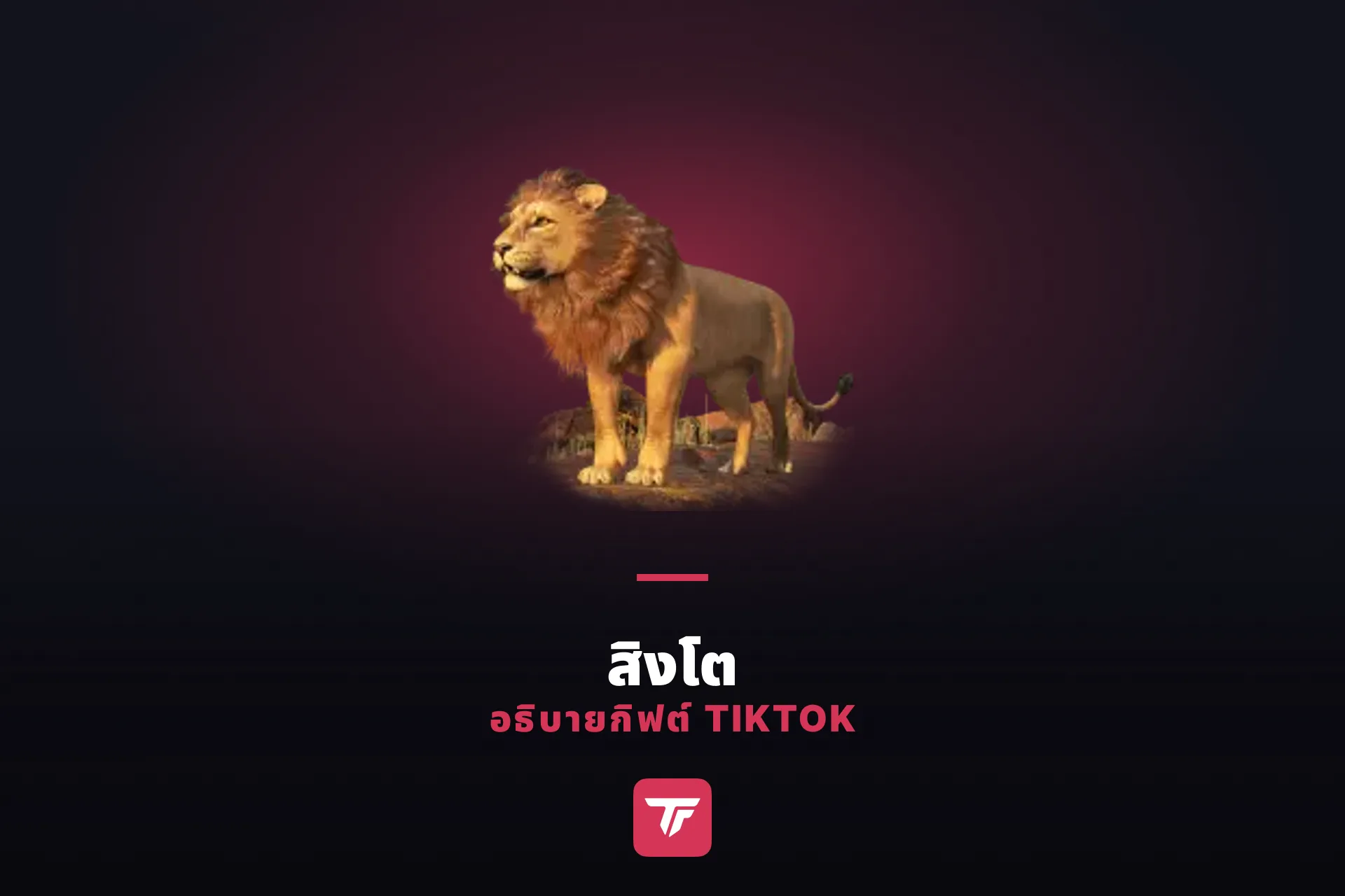 สิงโตใน TikTok ราคาเท่าไหร่? อธิบายกิฟต์ชิ้นนี้ให้เข้าใจง่าย