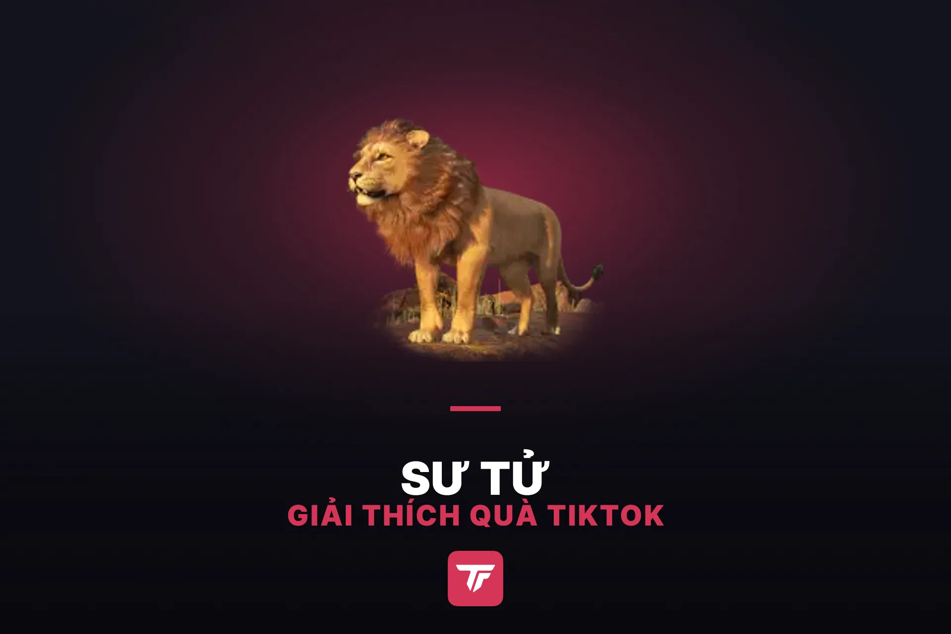 Sư tử trên TikTok giá bao nhiêu? Giải thích về món quà này