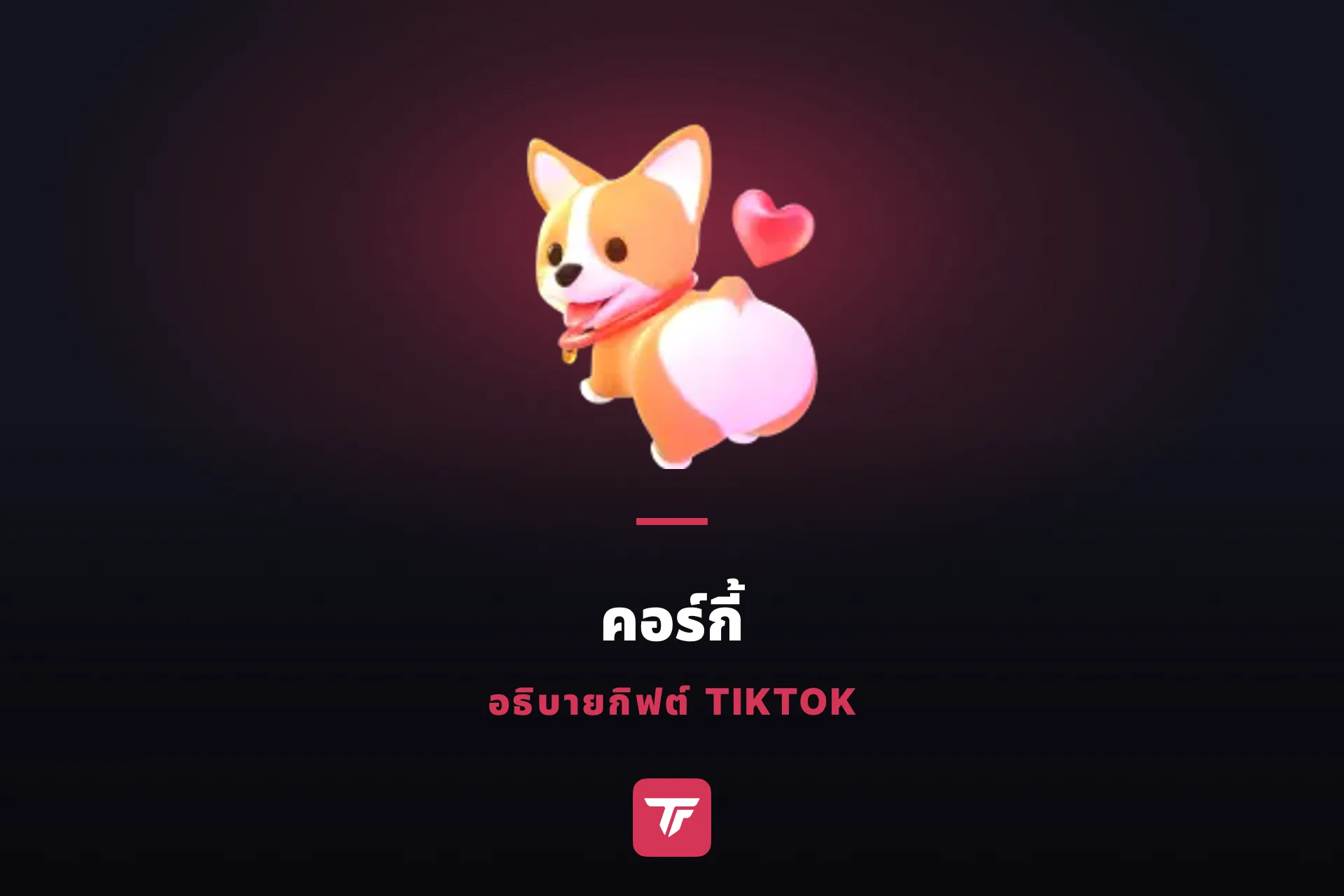 คอร์กี้บน TikTok ราคาเท่าไหร่? มารู้จักคูเปอร์และคอร์กี้ทั้งฝูง