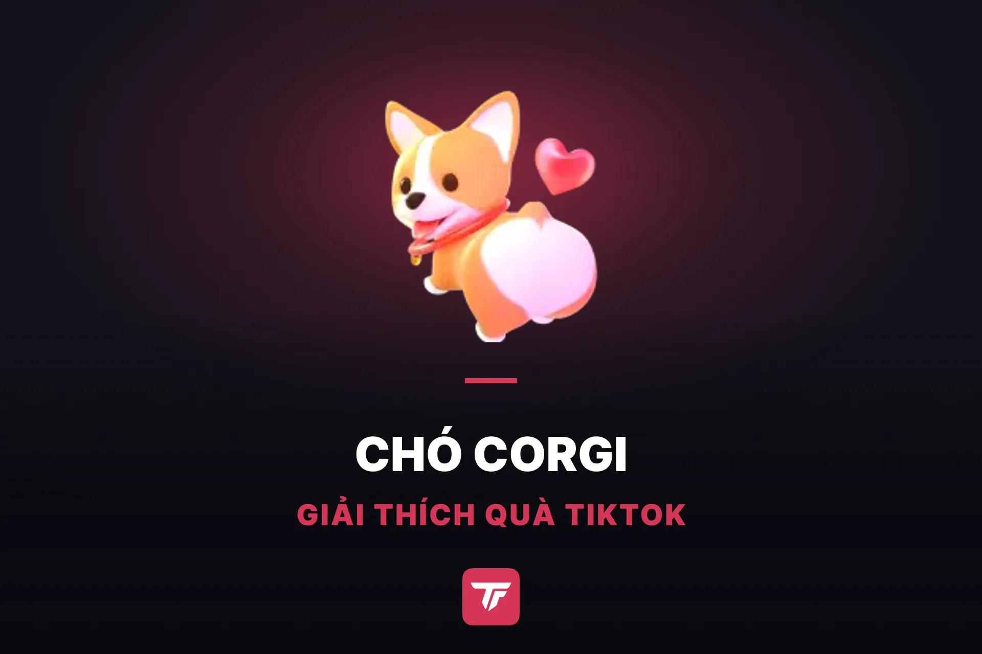 Chó Corgi trên TikTok giá bao nhiêu? Gặp Cooper và cả bầy corgi