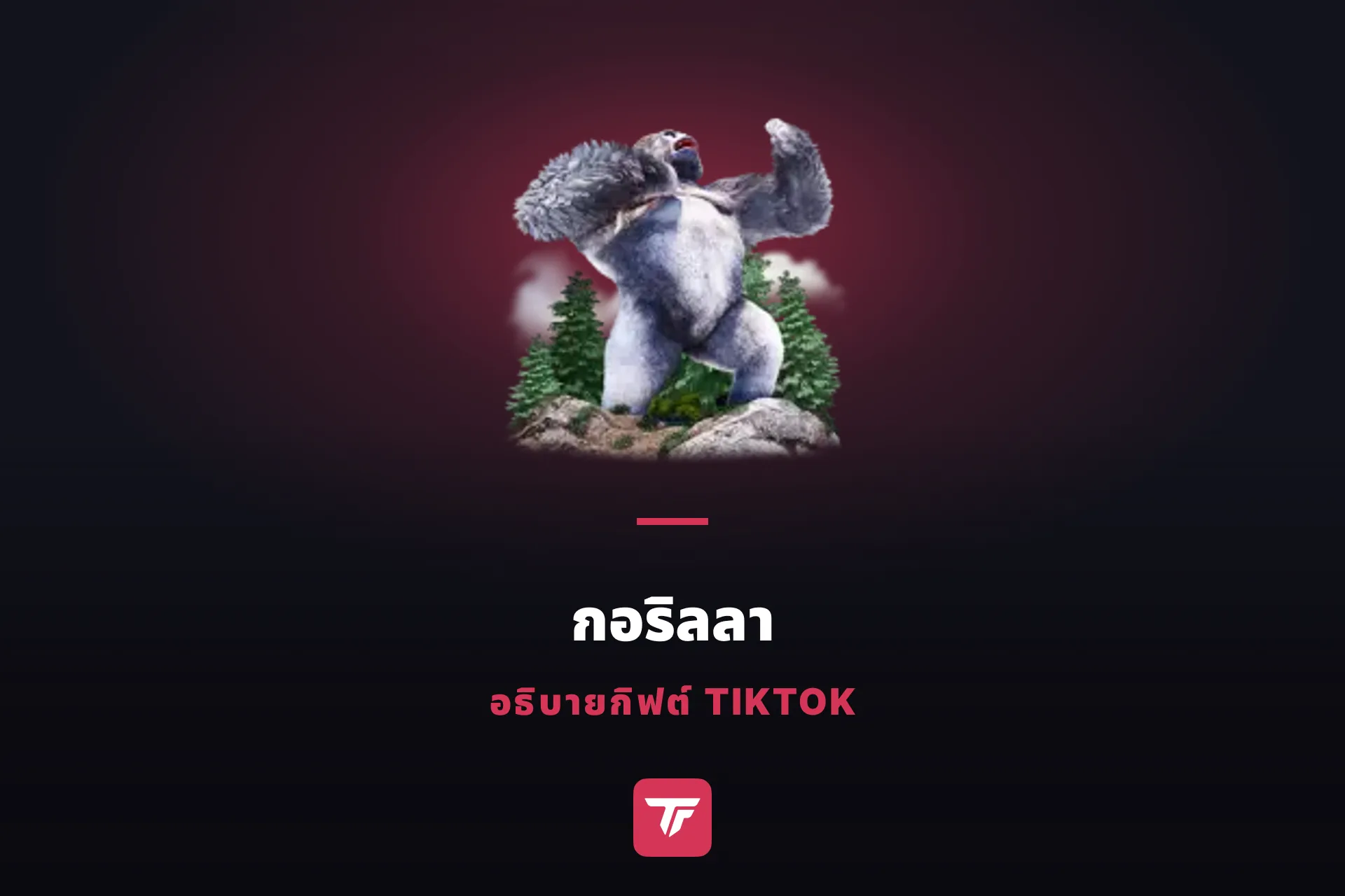 กอริลลาใน TikTok ราคาเท่าไหร่? แพงกว่าสิงโตแค่เหรียญเดียว