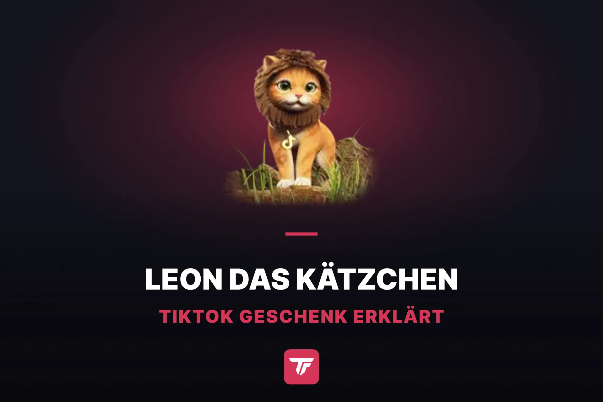 Wie viel kostet Leon das Kätzchen auf TikTok? Ein Kätzchen, 15 Geschenke