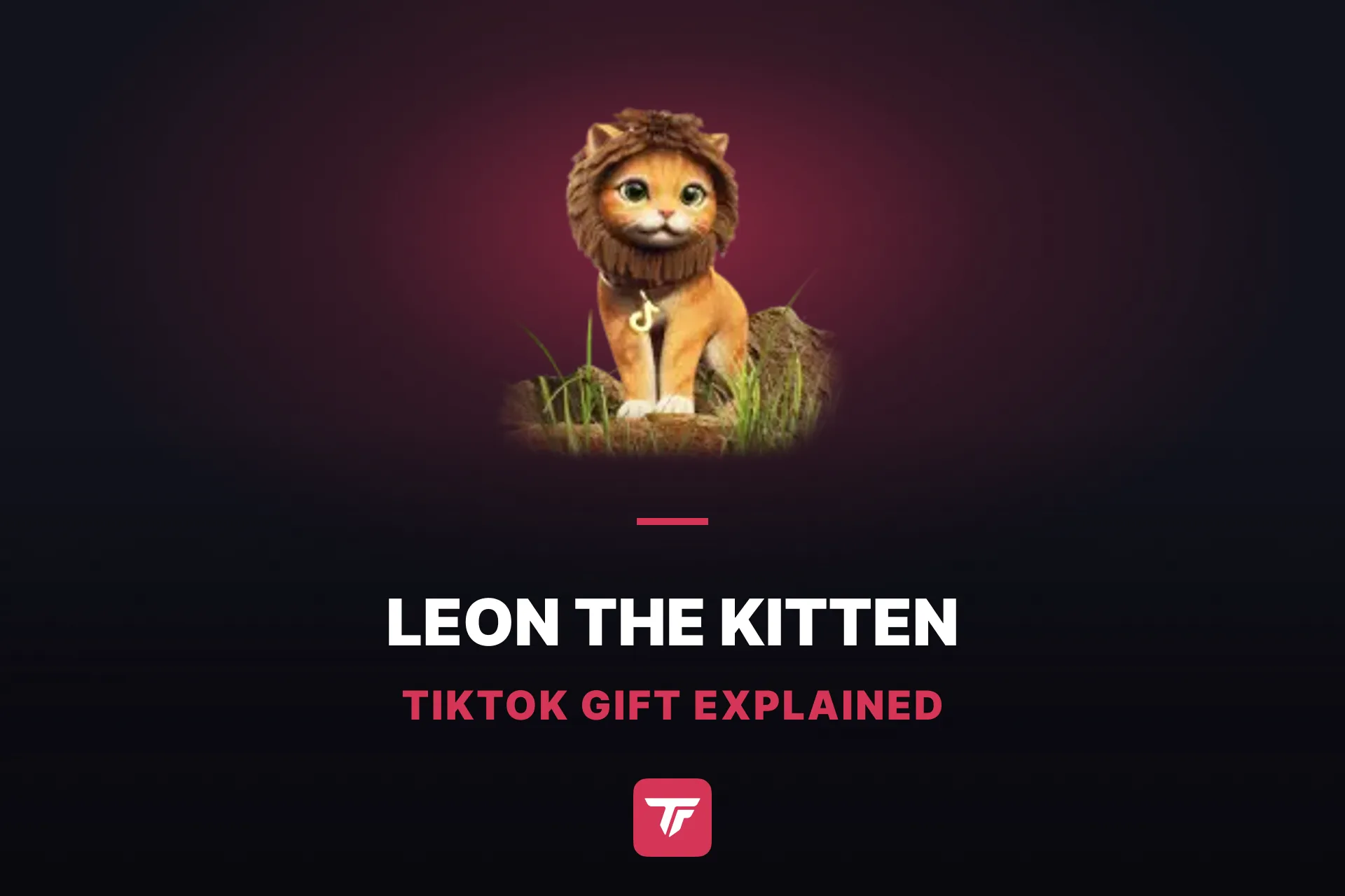 How Much Is Leon the Kitten on TikTok? One Kitten, 15 Gifts