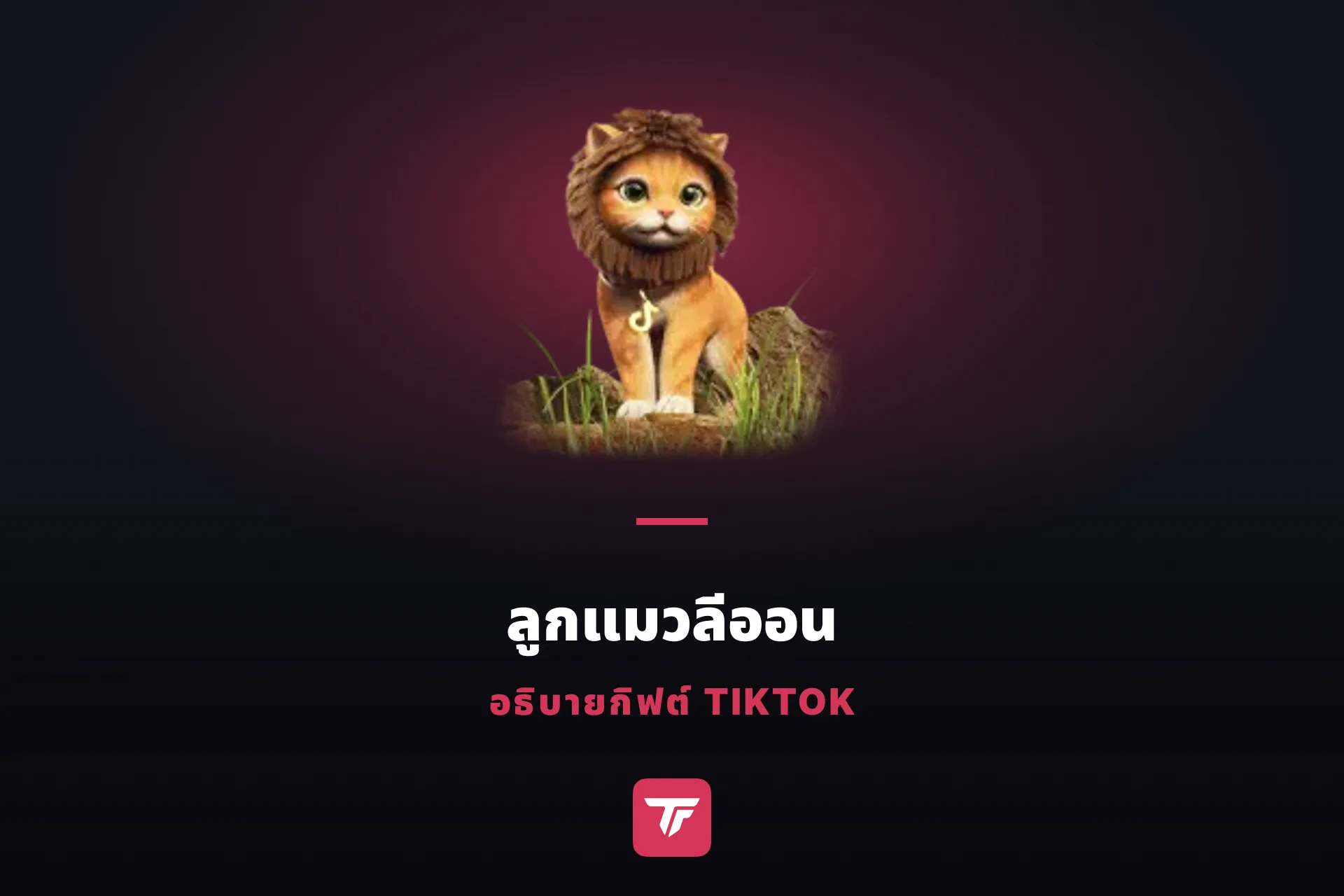 ลูกแมวลีออนใน TikTok ราคาเท่าไหร่? ลูกแมวตัวเดียว กิฟต์ 15 ชิ้น