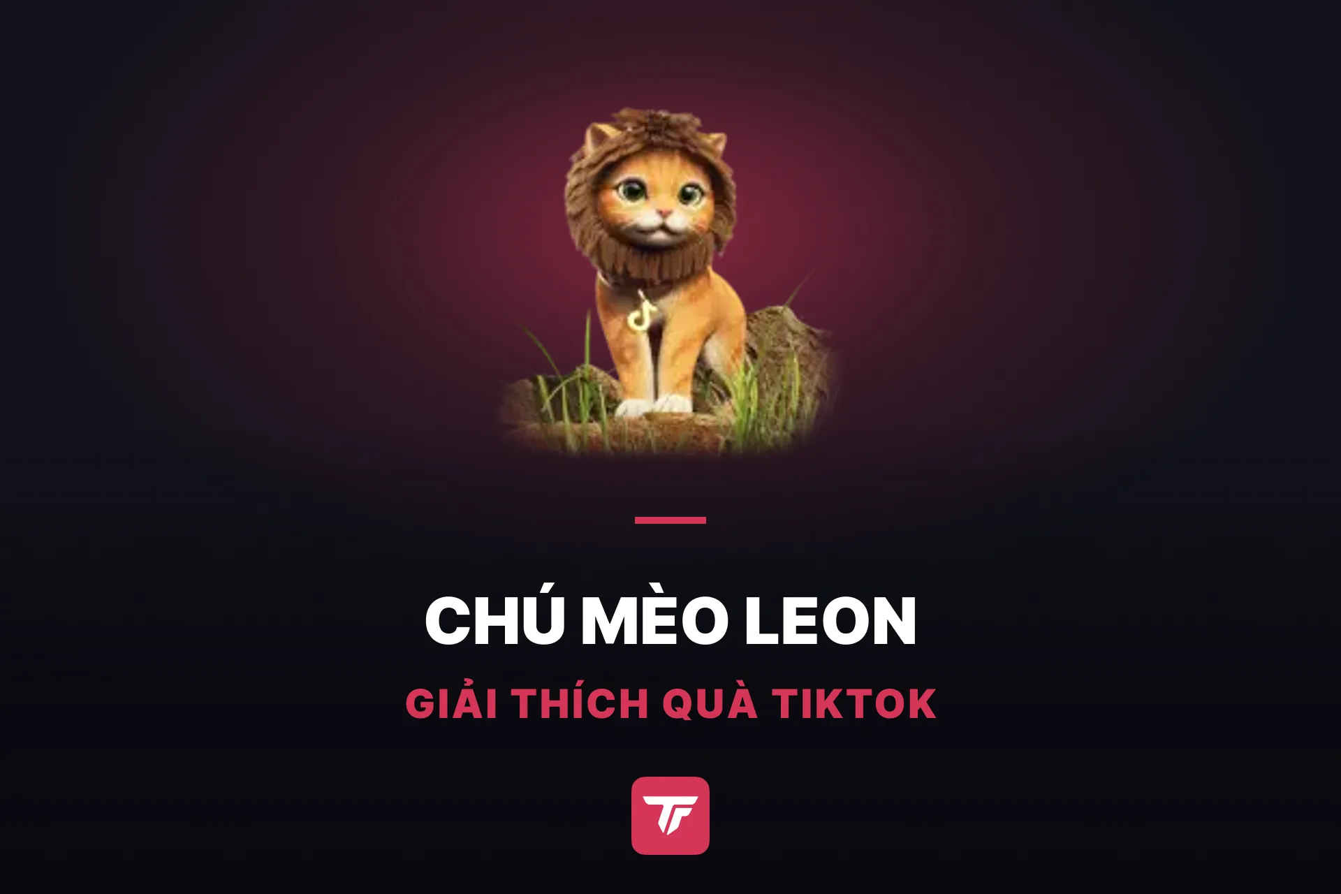 Chú mèo Leon trên TikTok giá bao nhiêu? Một chú mèo, 15 món quà